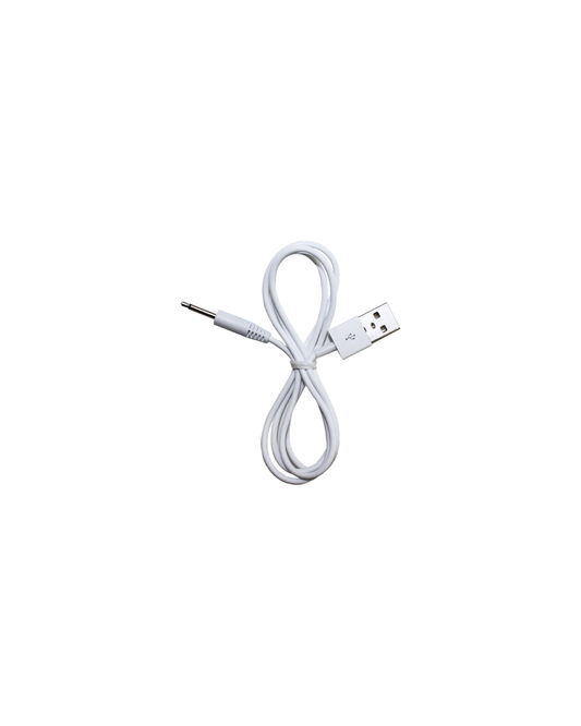 PureCharge USB Cord - E